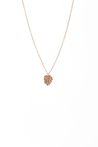 Stilen Monstera Necklace - Rose